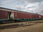 BRAD PCT-060723-1